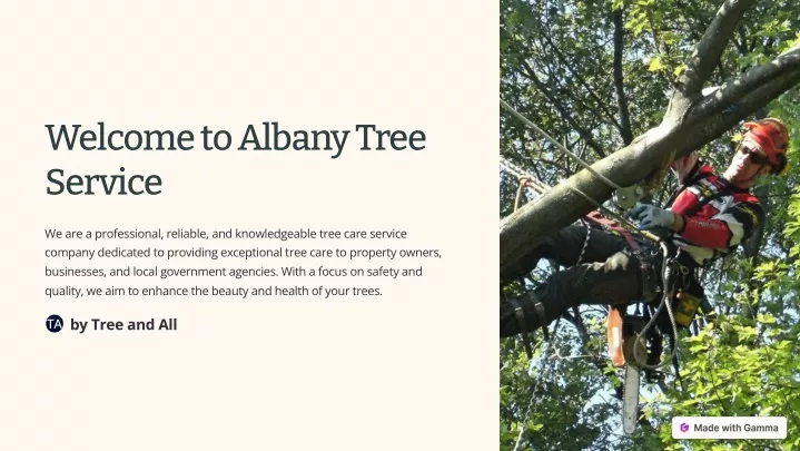 welcome to albany tree service