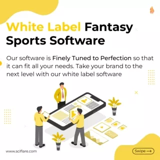 white label fantasy sports software