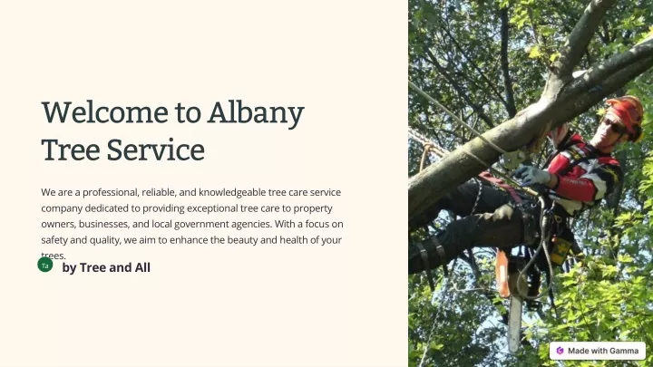 welcome to albany tree service