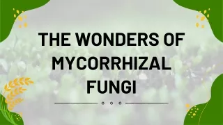 Unraveling the Mysteries of Arbuscular Mycorrhizae