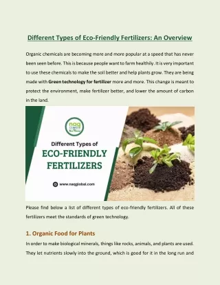 Different Types of Eco-Friendly Fertilizers_ An Overview