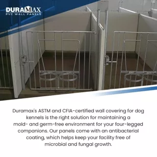 Bacterial-and-Fungal-Growth-is-Bad-for-Your-Dogs-Install-PVC-Panels