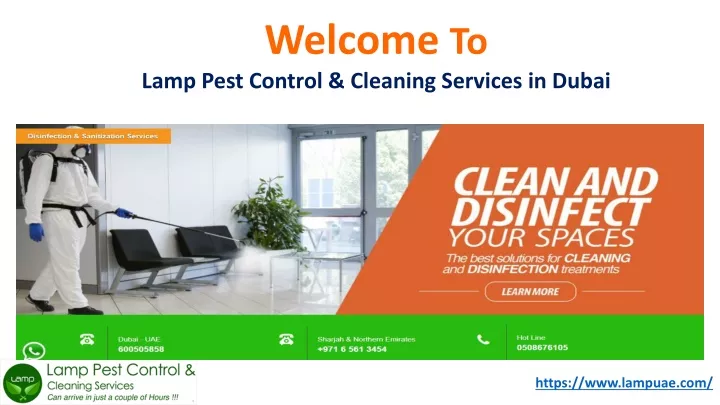 welcome to lamp p est control c leaning services