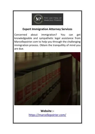 Expert Immigration Attorney Services