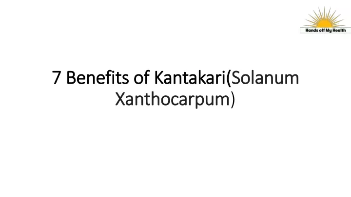 7 benefits of kantakari solanum xanthocarpum