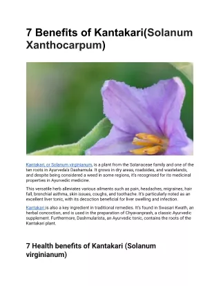 kantakari benefits