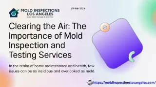 Clearing the Air: The Importance of Mold Inspection and Testing Services