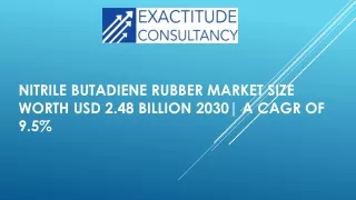 Nitrile Butadiene Rubber Market