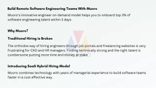 Hire Virtual Software Engineers