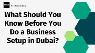 What Should You Know Before You Do a Business Setup in Dubai?