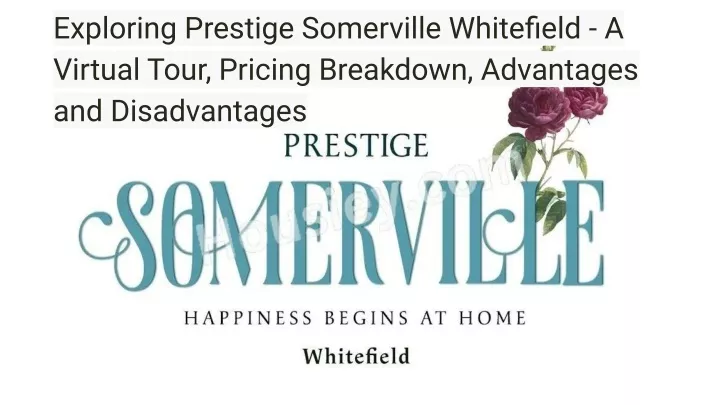 exploring prestige somerville whitefield
