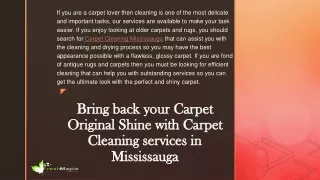bring back your carpet original shine with carpet cleaning services in mississauga