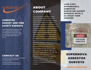 Supernova Asbestos Surveys