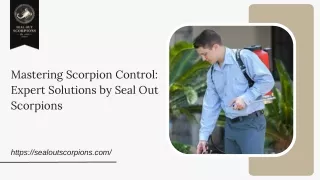 Mastering Scorpion Control Expert Solutions by Seal Out Scorpions