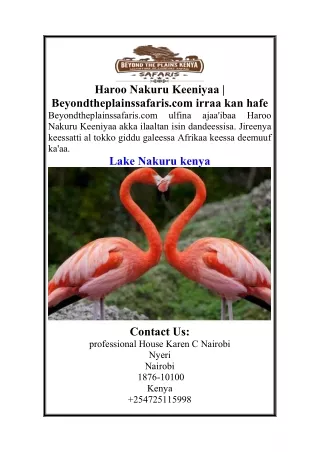 haroo nakuru keeniyaa beyondtheplainssafaris