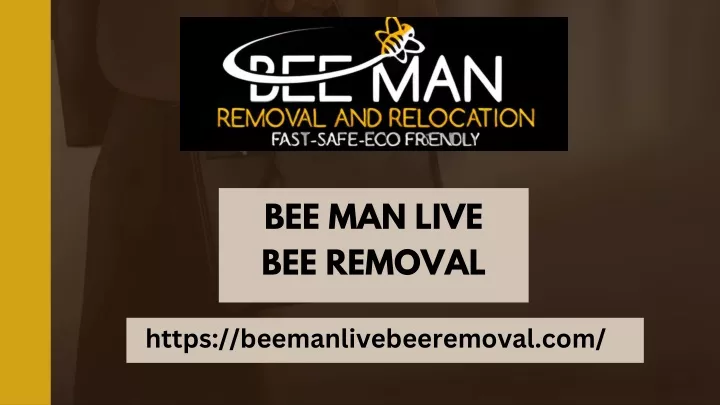 bee man live bee removal