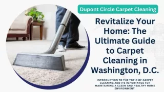 The Ultimate Guide to Carpet Cleaning in Washington DC - Dupont Circle Carpet Cleaning