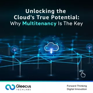 Unlocking the Cloud's True Potential: Why Multitenancy Is The Key?