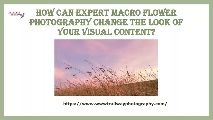 how can expert macro flower photography change the look of your visual content