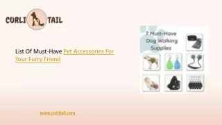 Pet Accessories For Your Furry Friend