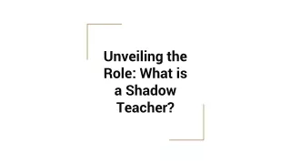 what is shadow teacher