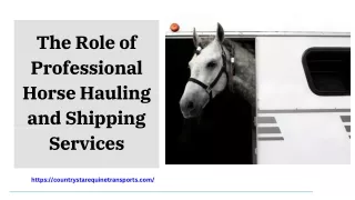 Professional Horse Hauling Services  Safe & Reliable Transport
