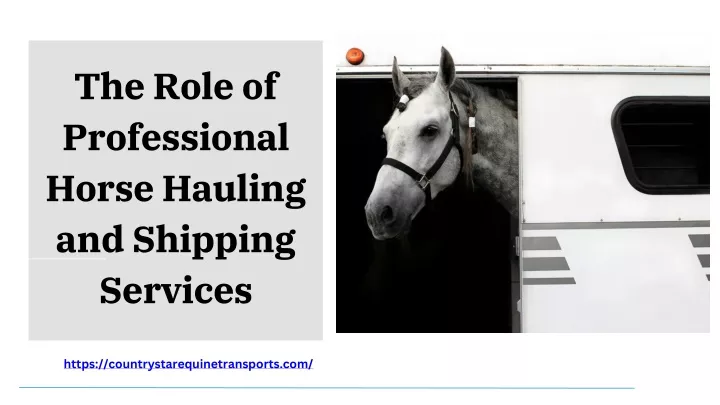 the role of professional horse hauling
