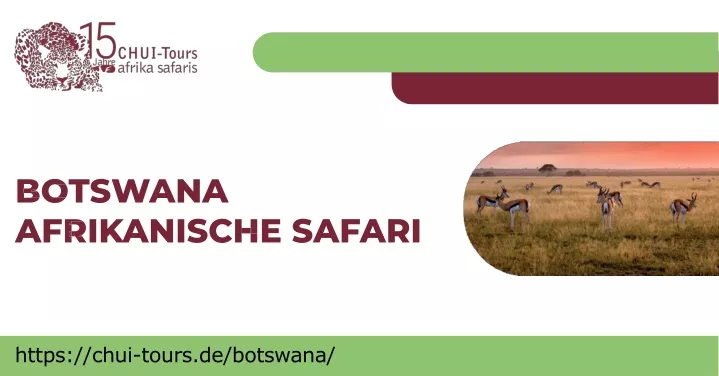 https chui tours de botswana