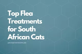 Top Flea Treatments for South African Cats