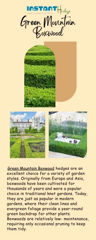 Styling Your Garden with Green Mountain Boxwood