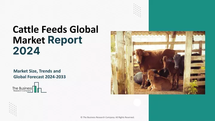 cattle feeds global market report 2024