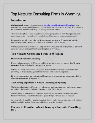 Top Netsuite Consulting Firms in wyoming