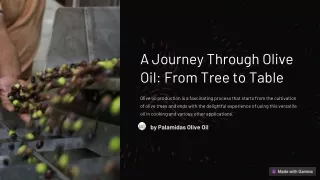 A Journey Through Olive Oil From Tree to Table