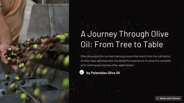a journey through olive oil from tree to table