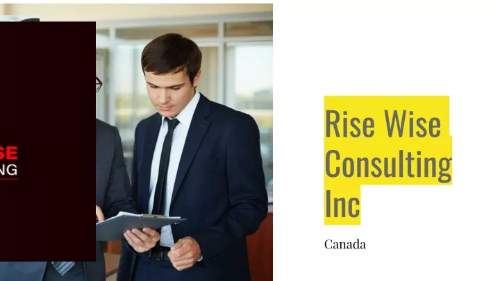 rise wise consulting inc
