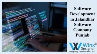 Software Development Services in Jalandhar