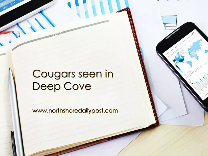 cougars seen in deep cove