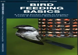 DOWNLOAD ⚡ PDF ⚡ Bird Feeding Basics: An Introduction to Feeders, Feeds & Common Backyard