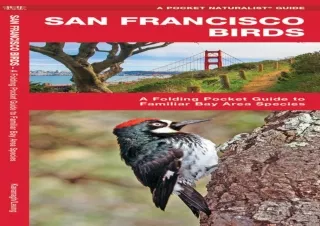 READ [PDF] San Francisco Birds: A Folding Pocket Guide to Familiar Bay Area Species (Wildl