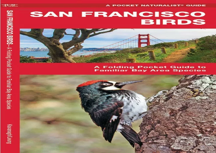 san francisco birds a folding pocket guide