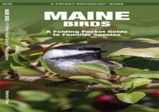 READ [PDF] Maine Birds: A Folding Pocket Guide to Familiar Species (Wildlife and Nature Id