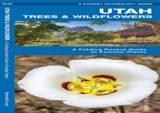 Utah-Trees--Wildflowers-A-Folding-Pocket-Guide-to-Familiar-Plants-Wildlife-and-Nature-Identification