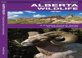 Alberta-Wildlife-A-Folding-Pocket-Guide-to-Familiar-Animals-Wildlife-and-Nature-Identification