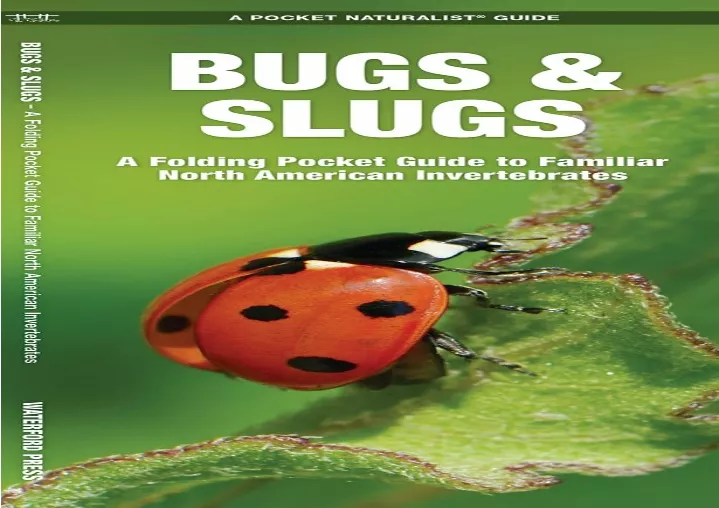 bugs slugs a folding pocket guide to familiar
