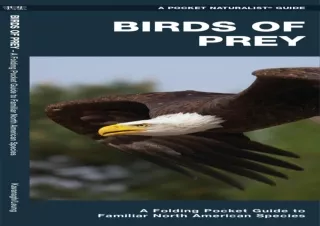 DOWNLOAD ⚡ PDF ⚡ Birds of Prey: A Folding Pocket Guide to Familiar North American Raptors