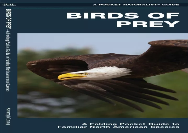 birds of prey a folding pocket guide to familiar