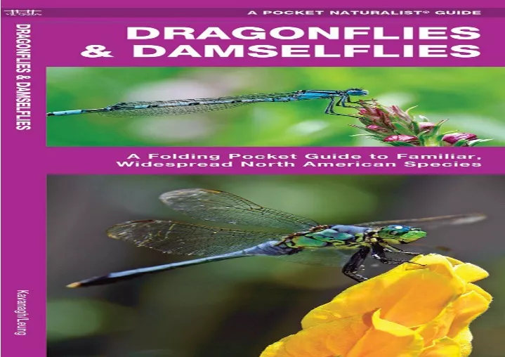 dragonflies damselflies a folding pocket guide