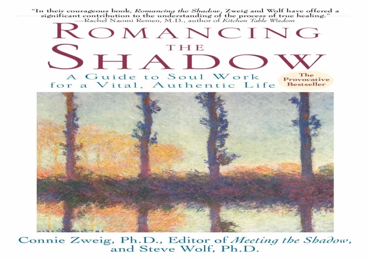 romancing the shadow a guide to soul work