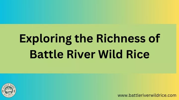 exploring the richness of battle river wild rice