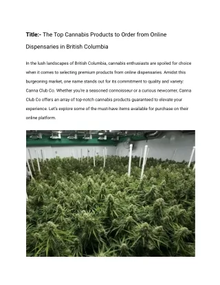 The Top Cannabis Products to Order from Online Dispensaries in British Columbia